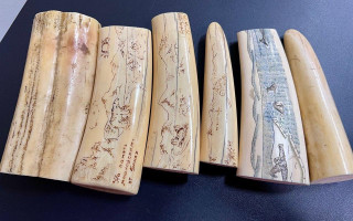 З Києва до США намагалися відправити бивні моржа з написом «Прощай, немытая Чукотка», фото