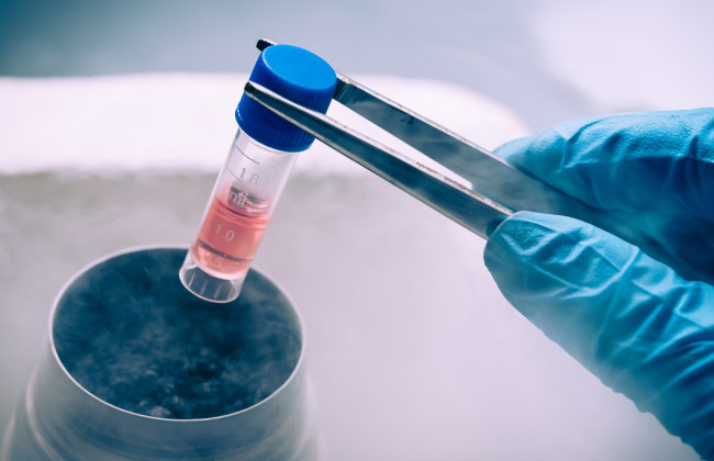 Для военнослужащих запустят услугу бесплатного хранения репродуктивных клеток