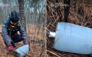 На території лісництва на Київщині знайшли бойову частину БпЛА «Герань»-2