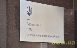 М’ясорубка не може вважатися обладнанням для виготовлення психотропних речовин: огляд практики ККС ВС