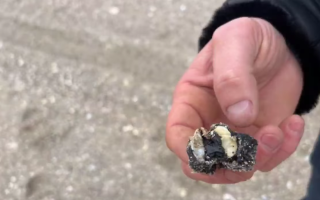 На Одещине начали убирать мазут на побережье, видео