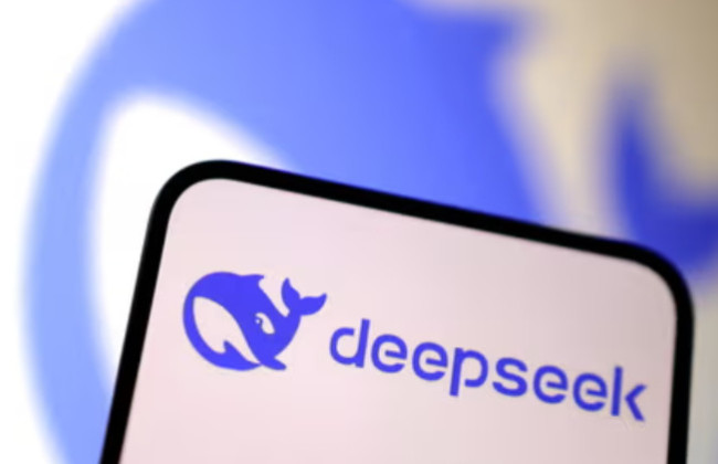 Нидерланды начнут расследование относительно китайского чат-бота DeepSeek