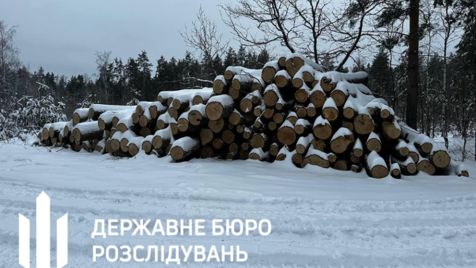 Судитимуть злочинну групу, яка вирубала 100-річні дуби у Чорнобильському заповіднику