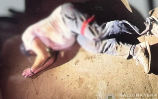 Семья из-за границы планировала похищение сына в Запорожье, у которого было 500 тысяч долларов