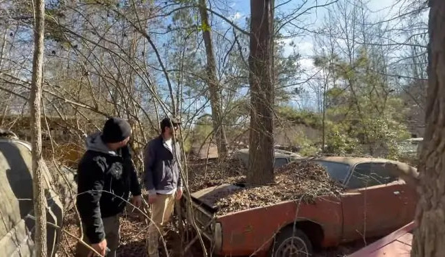 В США нашли коллекцию редких ретроавто, которые годами ржавели в лесу