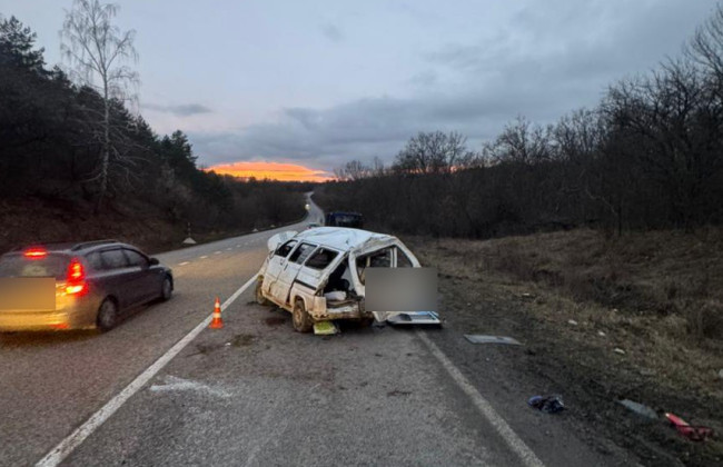 В Черкасской области перевернулся микроавтобус – двое пострадавших в больнице