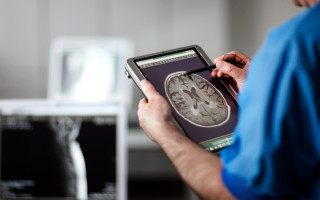 Американские ученые обнаружили увеличение уровня микропластика в человеческом мозге