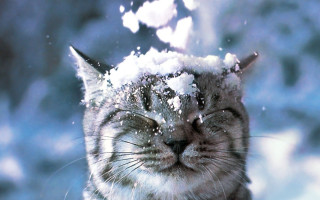 На украинцев ждет резкое похолодание – 9 февраля будет минус 6°, а ночью все минус 11°