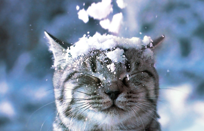 На украинцев ждет резкое похолодание – 9 февраля будет минус 6°, а ночью все минус 11°