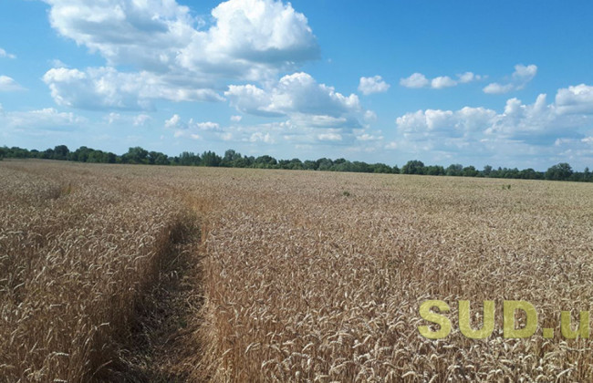 Реєстрації права суборенди чи права користування на частину земельної ділянки — інструкція користувача