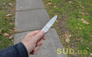 В Харькове мужчина зарезал своего брата за то, что тот задел его автомобиль — суд назначил 13 лет за решеткой