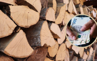 Назначение субсидии, льгот и помощи на приобретение твердого топлива — что нужно знать