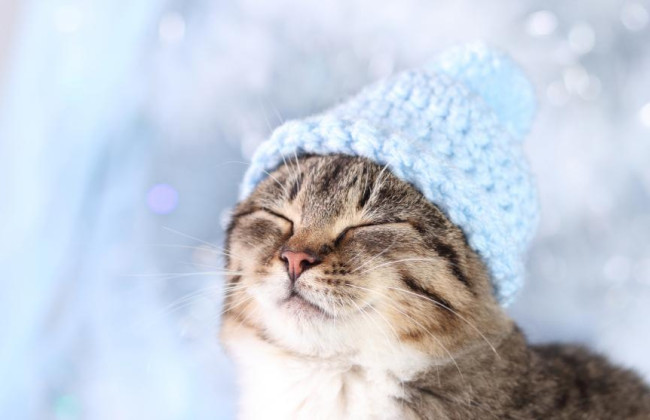 13 февраля температура воздуха в Украине опустится до 15° мороза, без осадков