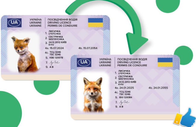 В МВД объяснили, можно ли заменить неудачное фото в водительском удостоверении