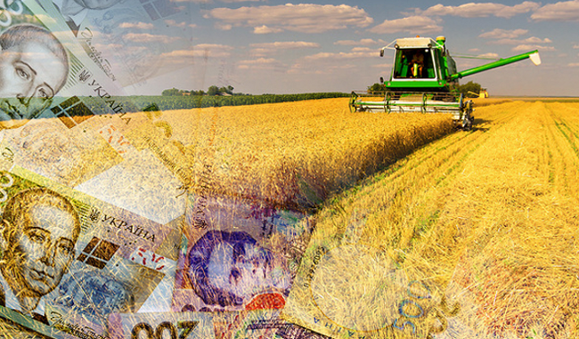 В Украине стартовал прием заявок на бюджетную субсидию для аграриев