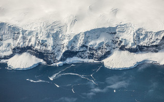 Морской лед вокруг полюсов достиг рекордно низкого уровня в феврале 2025 года