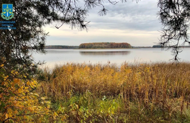 Государству вернут земли природного парка Ровенщины, стоимость которых более 23 млн грн