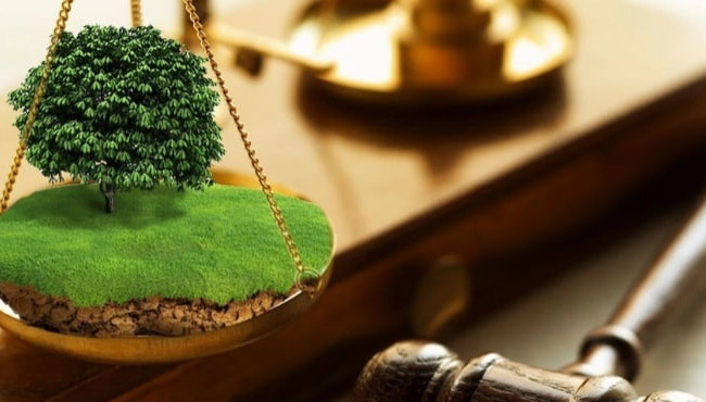 На Хмельнитчине судили фермера, который 2 года избегал мобилизации после получения повестки