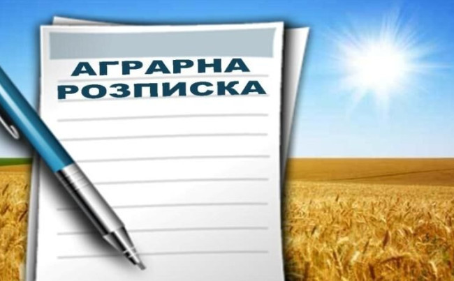 Может ли отсутствие в аграрной расписке ссылок на встречное обязательство быть основанием для признания ее недействительным – постановление КХС ВС