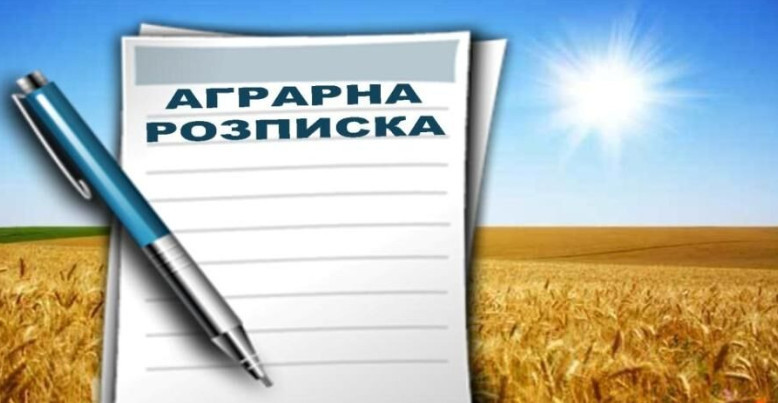 Чи може відсутність у аграрній розписці посилань на зустрічне зобов’язання бути підставою для визнання її недійсною – постанова КГС ВС