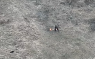 На Закарпатье дрон ГСЧС «на горячем» поймал мужчину, который жег сухостой