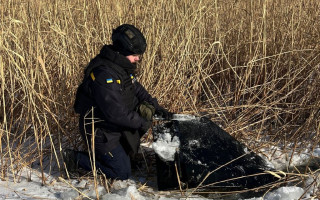 В Киеве возле озера нашли обломки БпЛА – фото