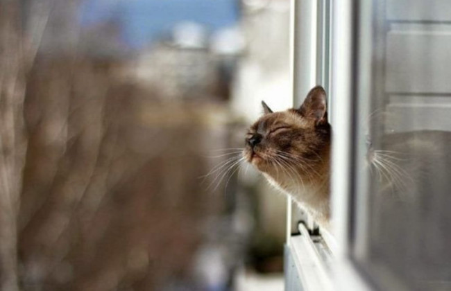 Коли українцям очікувати на потепління – прогноз синоптиків