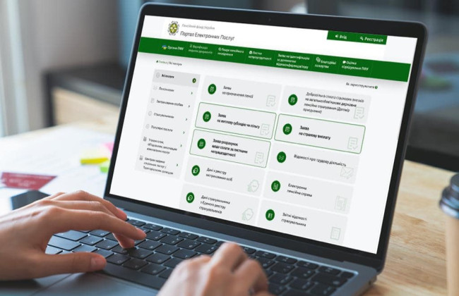 Как узнать, что уплаченные добровольно страховые взносы зачислены в стаж