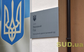 Справи щодо податків та зборів і захисту соціальних прав — огляд практики КАС ВС