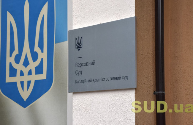 Дела по налогам и сборам, а также по защите социальных прав — обзор практики КАС ВС