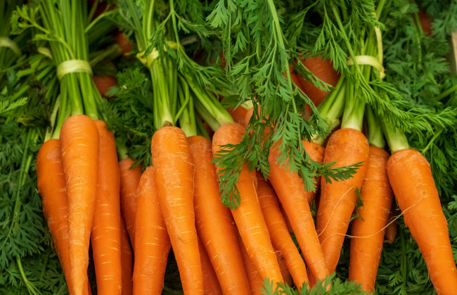 В Украине значительно выросли цены на морковь – в чем причина