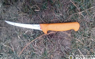 На Тернопольщине мужчина погиб во время забоя свиньи