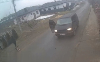 На Волині мобілізували чоловіка, який вигулював собаку – у ТЦК розповіли, як все було насправді, та де зараз пес