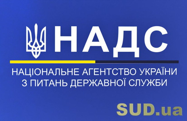 Государственные служащие в 2024 году стали зарабатывать больше, но полностью довольных своей зарплатой немного — НАГС