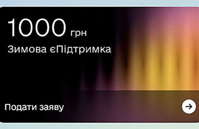 Как украинцы используют 1000 грн зимней єПідтримки — ТОП расходов