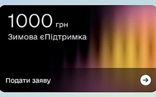 Как украинцы используют 1000 грн зимней єПідтримки — ТОП расходов