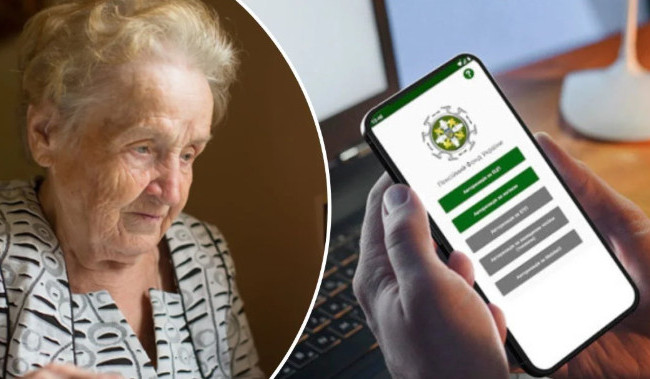 Пенсионный фонд объяснил, где можно узнать о результатах прохождения видеоидентификации