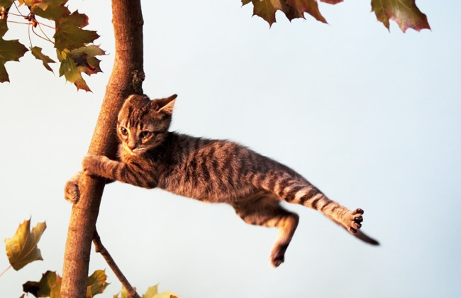 6 марта в Украине будет сильный ветер, но днем ​​прогреется до 17 градусов тепла