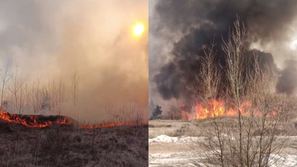 У Києві спалахнула пожежа в екопарку на Осокорках