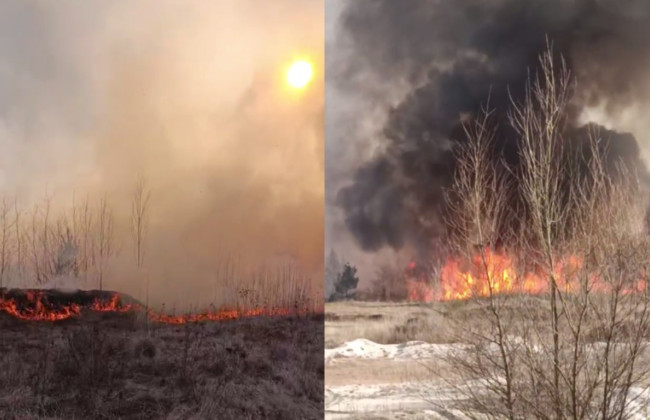 В Киеве вспыхнул пожар в экопарке на Осокорках