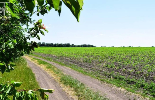 Суд повернув громаді ділянку вартістю понад мільйон, яку незаконно передали без аукціону