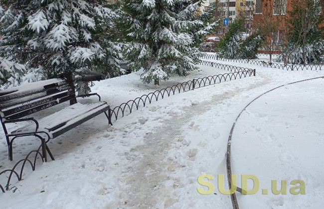 За зиму в Киеве выписали более 1500 предписаний за несвоевременную уборку снега