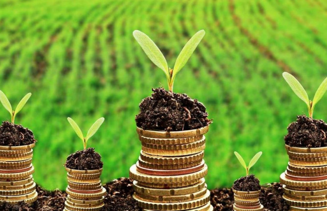 Плата за землю — какие налоговые льготы действуют во время военного положения