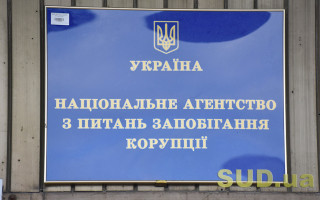 В НАПК разъяснили, как вернуть в открытый доступ ранее изъяты декларации