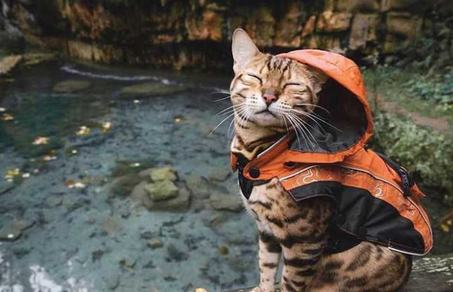 В Киеве снова зафиксировали два температурных рекорда