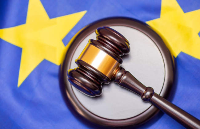 Верховный Суд опубликовал обзор практики ЕСПЧ за декабрь 2024 года