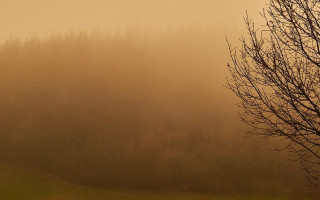 Часть Украины накроет пылевая буря