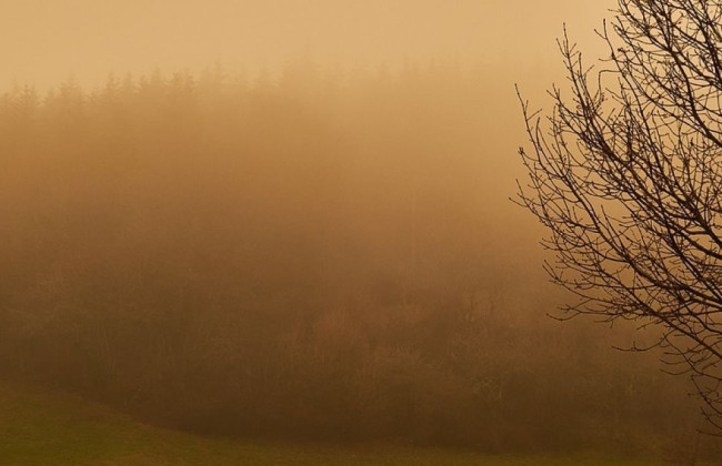 Часть Украины накроет пылевая буря