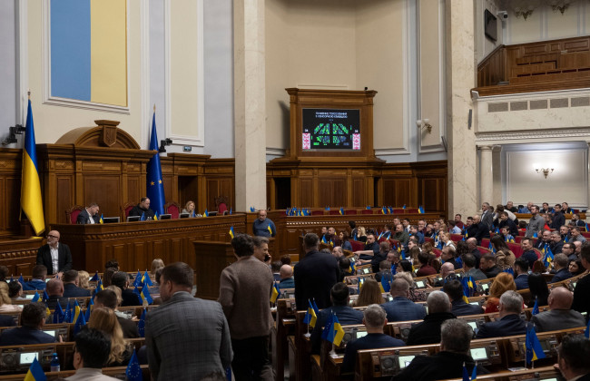 У Раді заявили, що будь-яке застосування фізичної сили представниками ТЦК неприпустиме, і ТЦК не можуть бути використані для обмеження прав та свобод людини