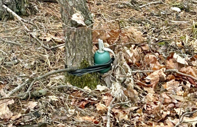 В Бучанском лесу нашли растяжку с гранатой
